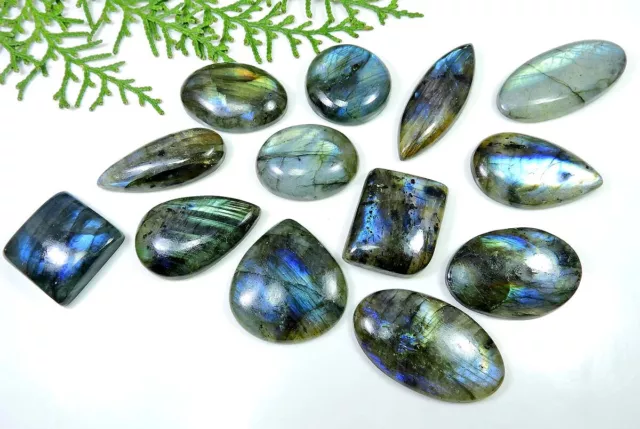 Natural Labradorite Multi Fire 13 Pcs Mix Cabochon Loose Gemstone 22-39MM