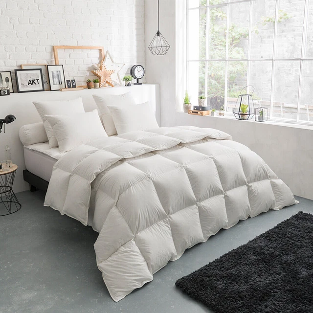 DODO Couette Thermoduv Temperee - 70% Duvet D'oie 220 X 240 Cm Blanc