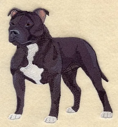 Embroidered Ladies T-Shirt - Staffordshire Bull Terrier C4894