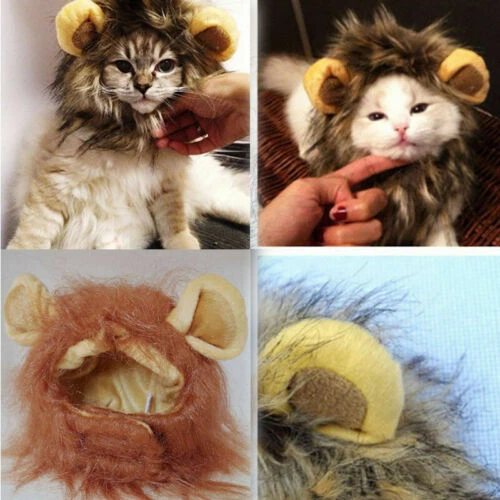 Parrucca Leone Con Coda | Costume Animale Per Natale E Carnevale | Orecchie E Criniera | Taglia Unica