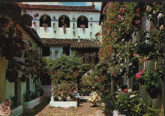 Postal De Un Patio Tipico Andaluz Andalucia Postcard Postkarte           Cc02601