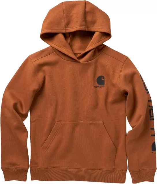 Carhartt Boys' Long Sleeve Hooded Sweatshirt