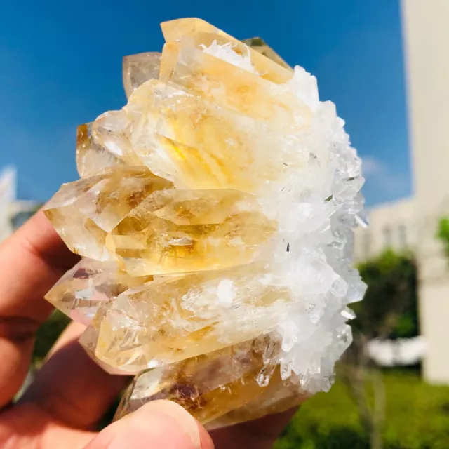 New Find Yellow Phantom Quartz Crystal Cluster Mineral Specimen Healing 3