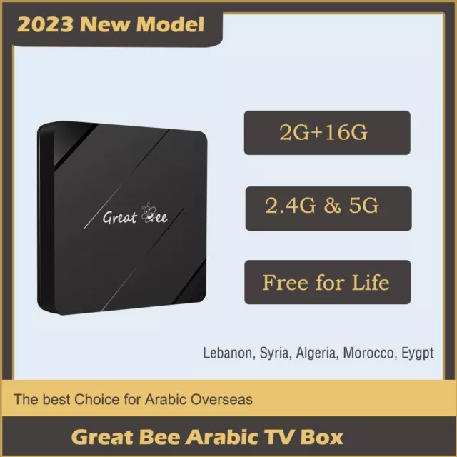 Great Bee Arabic TV Box 2023 Neues Modell 2G+16G 4K Lebenslang kostenlos 5G Box