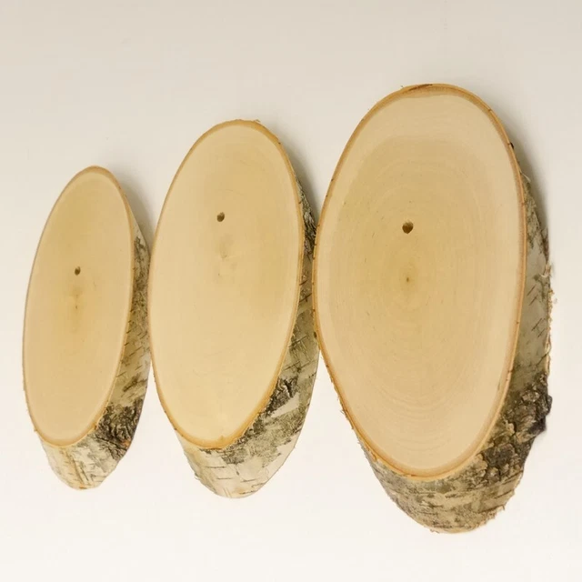 3 Pieza Abedul Placa Escudo de Trofeo para Ciervo Baumscheibe Baumschild Af 19cm