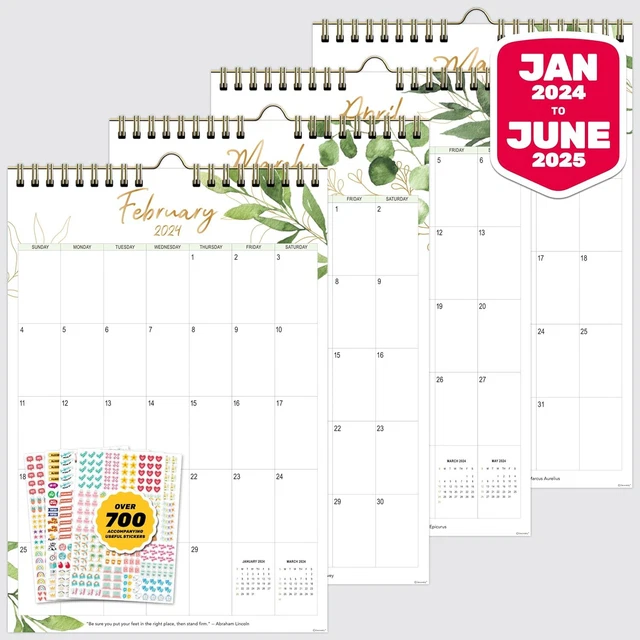 18 MONTH VERTICAL Wall Calendar 2024 Jan 2024 to June 202510x14.5