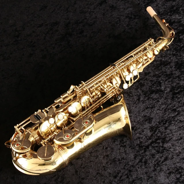 YANAGISAWA A-900 Alto Saxophone Case Mouthpiece Ligature Care Kit Maintained
