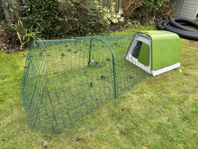 Eglu guinea pig hutch ebay outlet