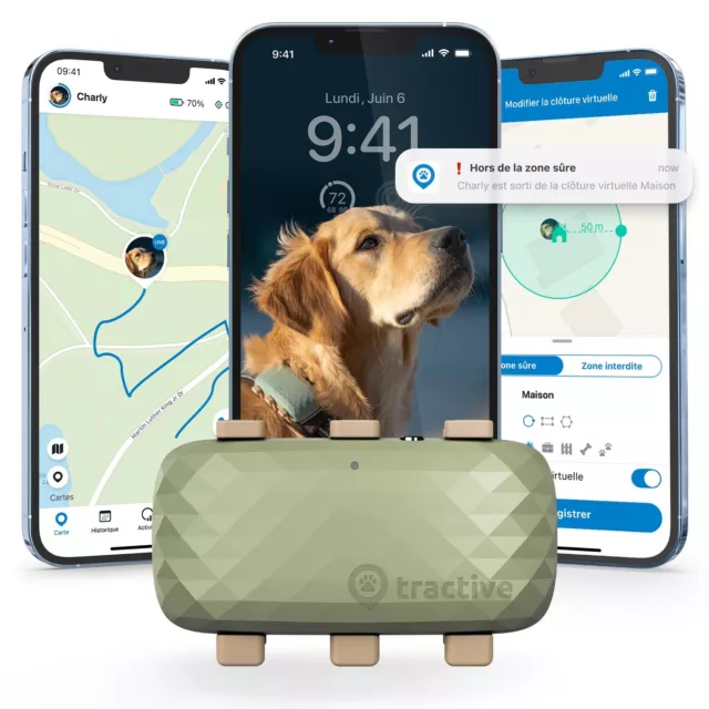 Tractive DOG XL Collier GPS chien | avec moniteur de santé | Vert |RECONDITIONNÉ