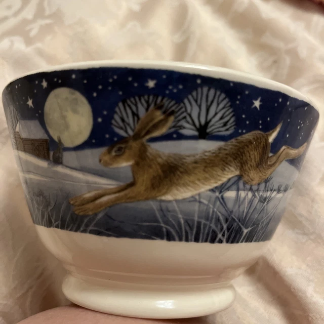 Emma Bridgewater - Winter Animals - Midnight Hare - 8 1/2 Inch Plate | Winter Animals | Dames Van De Thee