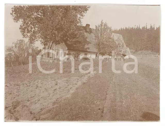 1915 ca DUSZNIKI-ZDROJ / BAD REINERZ (PL) Casa di campagna *Foto 12x9 cm