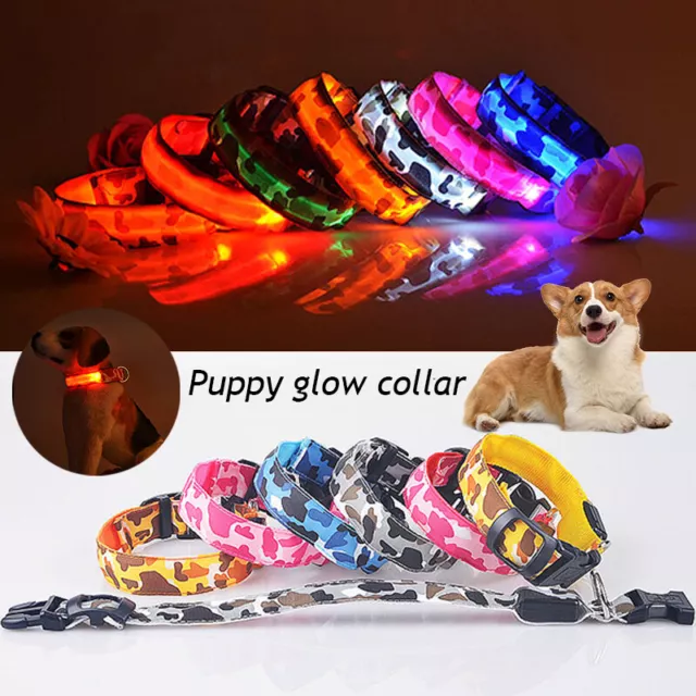 USB Rechargeable LED Dog Pet Collar Flashing Luminous Safety Night Light Up UK