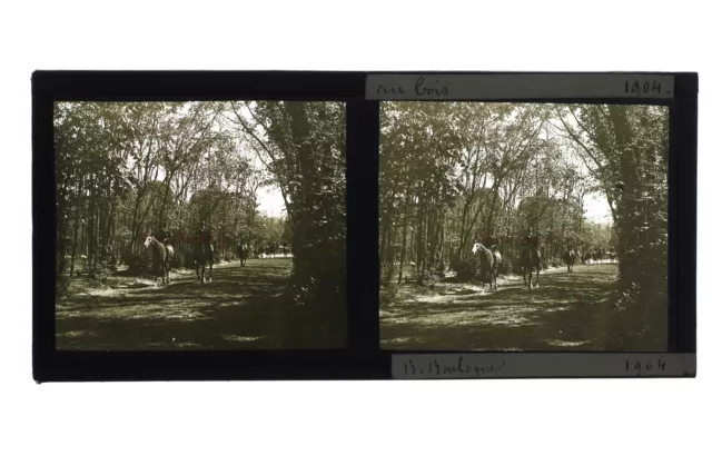 Équitation Bois de Boulogne Paris France Photo Stereo Plaque verre c1930