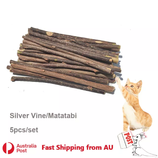 5x Silver Vine Sticks Cat Chew Dental Dry Matatabi Toy Kitten Clean Tooth Health