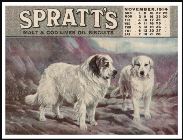 Pyrenean Mountain Dog Lovely Vintage Style Spratts Dog Food Art Print Poster