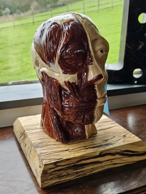 Vintage Medical Design-Head Bust Sculpture, Selfmade Clay Head - Great Detail