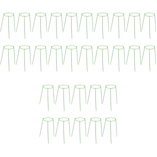 30 Sets Cage Orchid Stand Holder Pot Plants Indoor Potted Plants Support Frame