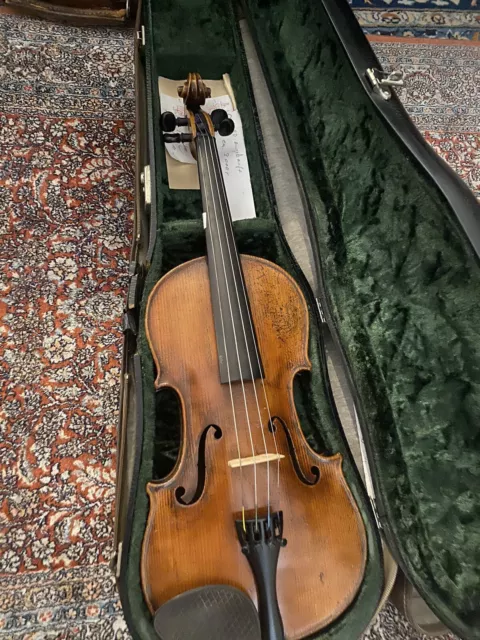 geige violine