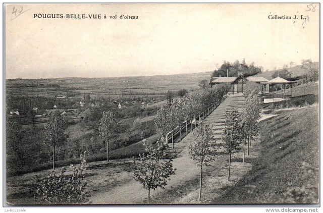 58 POUGUES LES EAUX - Belle vue a� vol d'oiseau