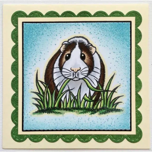 Sweet Dixie Meerschweinchen & Hamster Haustiere 6-teiliges klares Stempelset Geburtstagskartenherstellung 2