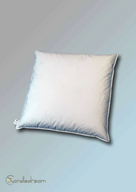 80 X 80 CM Oreiller 2500g Nouveau Plumes D'Oie Classe I de Blanc B-Ware
