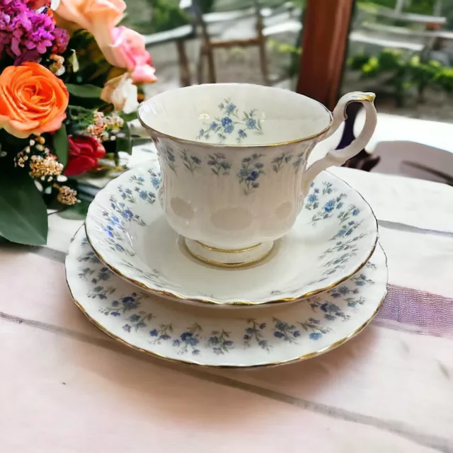 Vintage ROYAL ALBERT Memory Lane Trio Tea Cup Saucer & Side Plate et