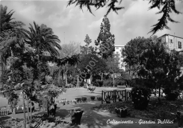 Cartolina - Postcard - Caltanissetta - giardini pubblici - 1958 - VG