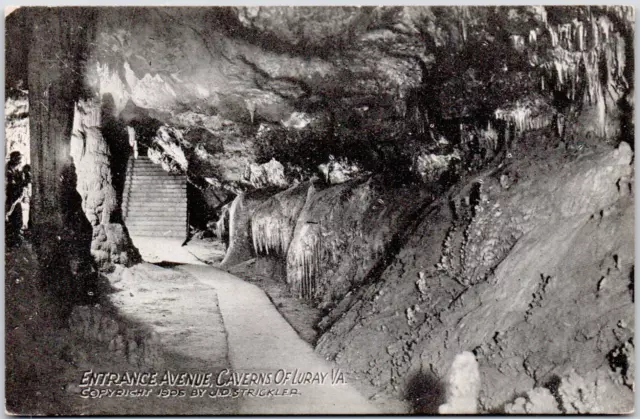 Caverns Of Luray Virginia Entrance Avenue 1905 JD Strickler Vintage DB Postcard