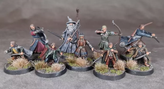 FELLOWSHIP OF THE RING SINGLE CHARACTER COMMISSION, pro painted, see description