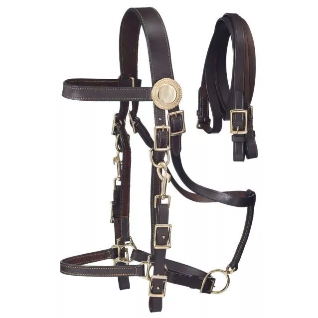 Australian Outrider Supreme Brown Aussie Leather Bridle/Halter Combination