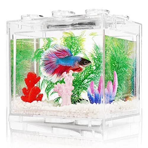 Small Betta Fish Tank, Aquarium Tank Kit with LED Lighting, 0.6 Gallon