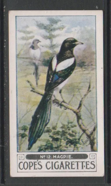 CIGARETTE CARDS Cope 1926 Song Birds - #12 Magpie