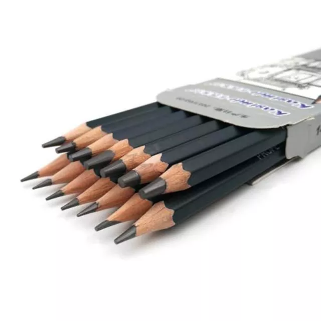 Set di matite da schizzo di livello professionale 14 pz perfetto per artisti stu
