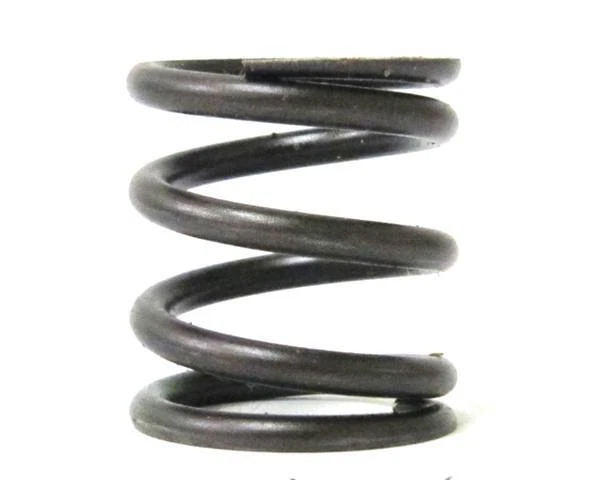 Valve Spring, Stock Appearing, Animal 6176