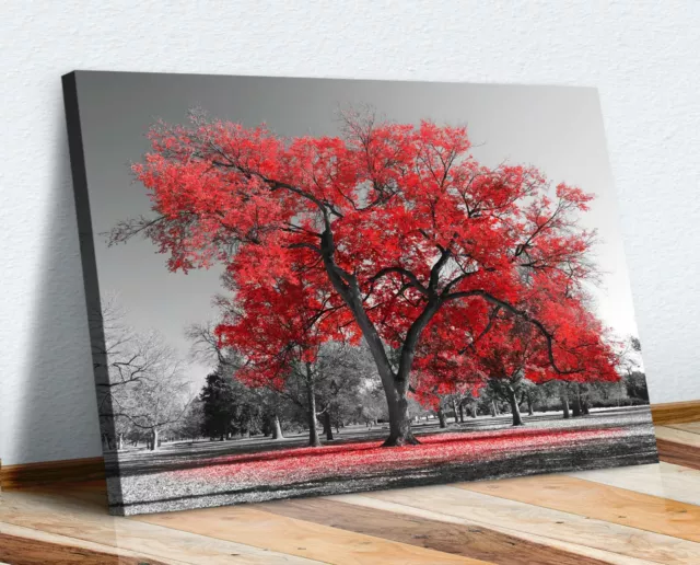 Large Tree Red Leaves Black White Canvas Wall Art Picture Print 30mm Deep