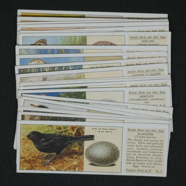 Typhoo Tea - British Birds And Their Eggs - Pick Your Card - Buy 1 Get 1 50% Off