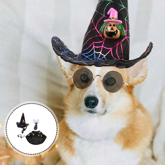 Glas-Sets Hexenkostüm Für Hunde Welpen-Outfits Sonnenbrillen-Set