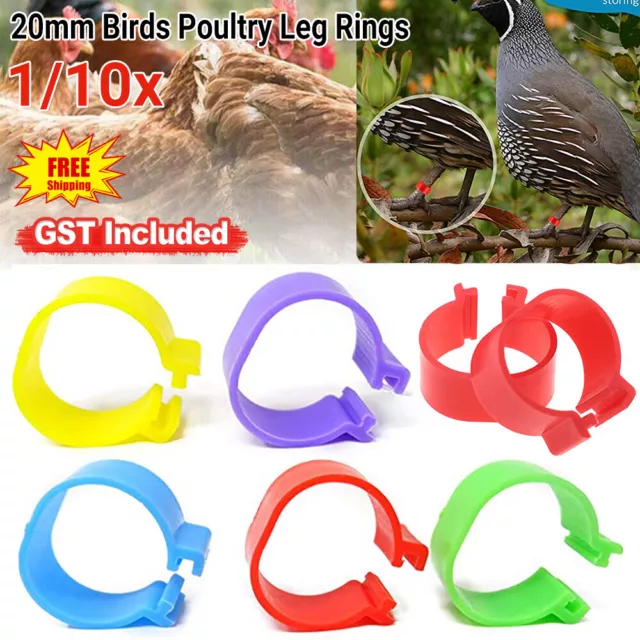 5-20PCS 20mm Rings Identification Bands Birds Poultry Leg Chicken Tags Clip Ring