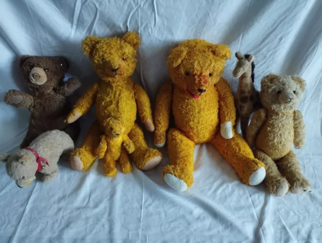 Sammlung von 5 antiken Teddybären Steiff Hermann? tlw. Brumstimme + 2 Tiere