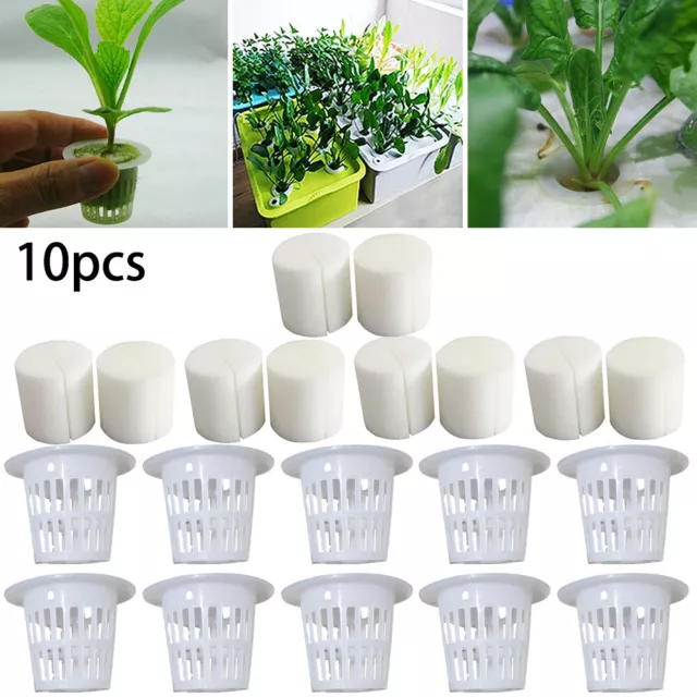 10pcs Kit White Mesh Pot Net Cup Basket Hydroponic Aeroponic Plant Grow Clone