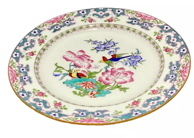 Minton England W.H. Plummer & Co Floral Bird Rimmed 10” Dinner Plates Set Of 7