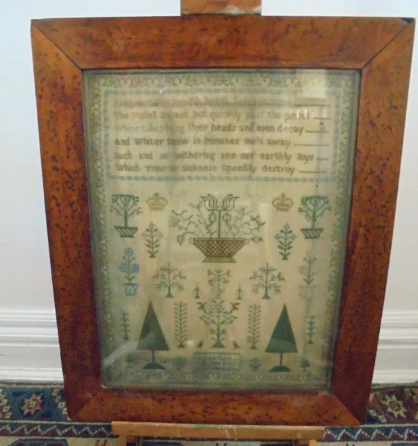 George III Regency Needlework Sample in Glazed Frame Rachel Sutch