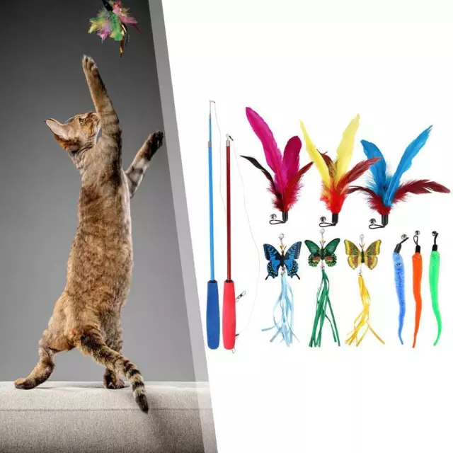11 pièces jouet en plumes de chat Wild Thing 9 recharges de teaser assorties 2