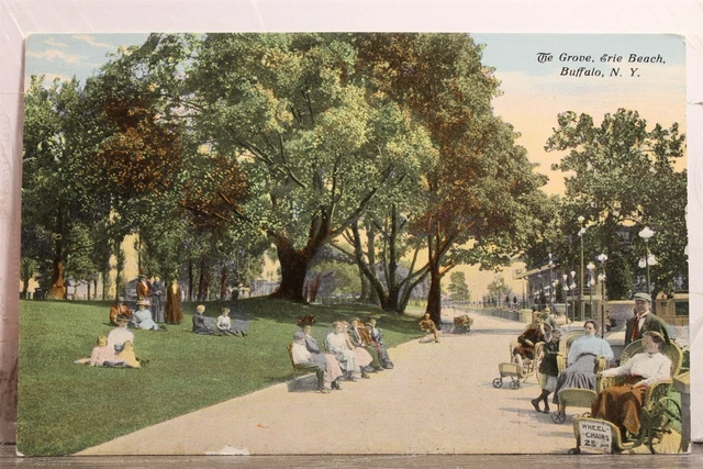 New York NY Buffalo Erie Beach Grove Postcard Old Vintage Card View Standard PC