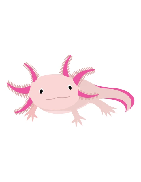 100 Autocollants Axolotl Mignons - Imperméables - Pour Décorer Ordinateur, Voiture, Skate - Stickers Kawaii