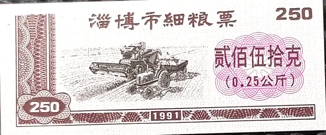 RARE 1991 CHINA " ZI BO SHI" Ration Notes(+FREE 1 note)#22754