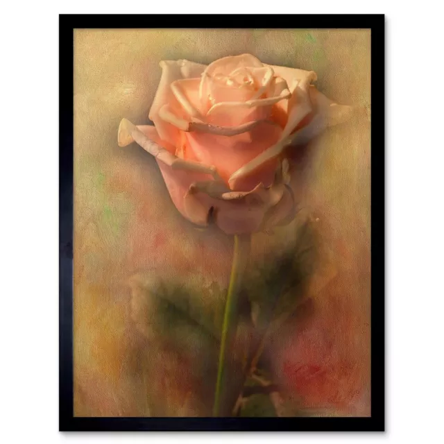 Dusty Pink Rose Vintage Grunge Flower 12X16 Inch Framed Art Print