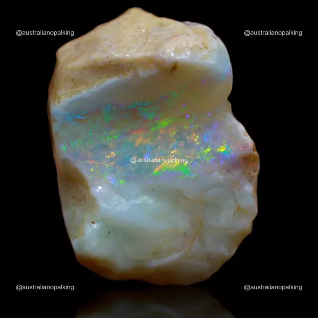 Natural Fire Opal Gemstone 5.00 Cts Loose Astrology Rough Australia 16x11x7 mm