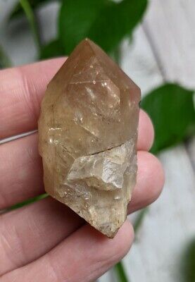 1.8" Rare CITRINE Untreated Crystal B41 Point Reiki Congo 24g *Read Below*