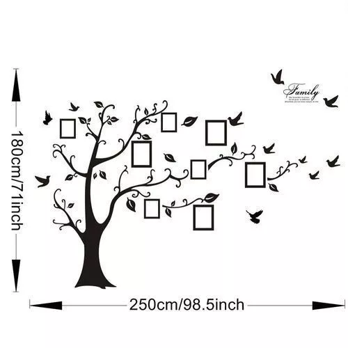 X Large Family Tree Birds Photo Frame Quotes Wall Stickers Home Art Decals Decor